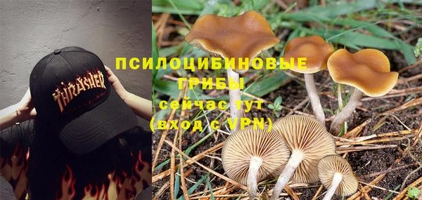 MDMA Бугульма