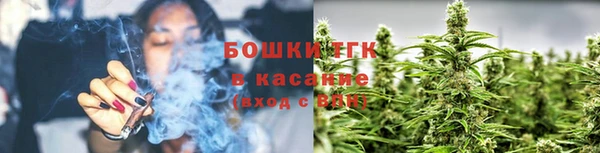 бошки Бородино