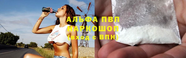 бошки Бородино