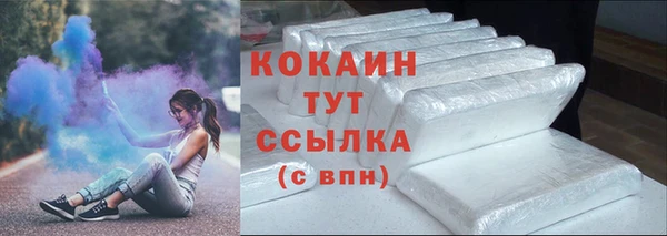 крисы Бронницы