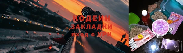 крисы Бронницы