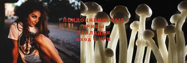 крисы Бронницы
