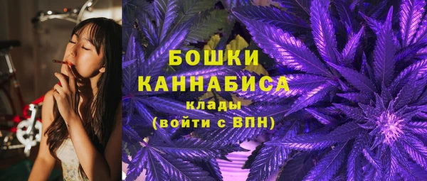 бошки Бородино
