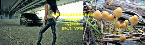 бошки Бородино