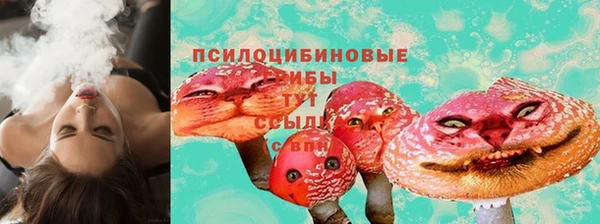 крисы Бронницы