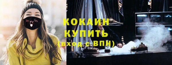 крисы Бронницы