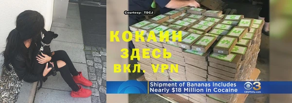бошки Бородино